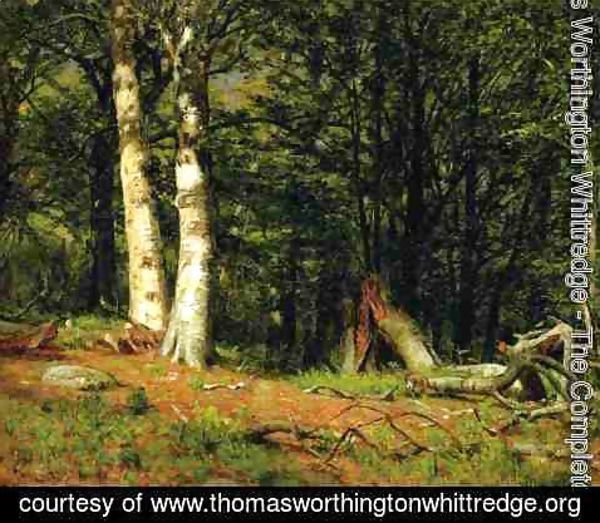 Thomas Worthington Whittredge - Fallen Birch