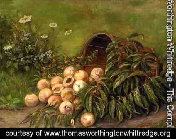 Thomas Worthington Whittredge - Still Life with Peaches