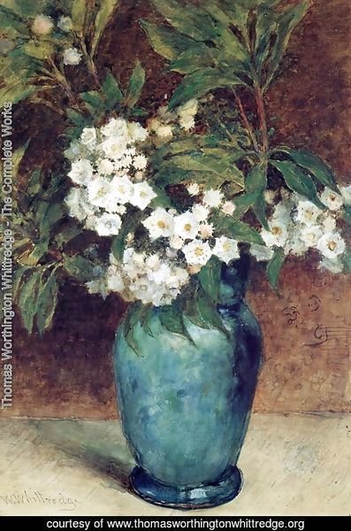 Laurel Blossoms in a Blue Vase