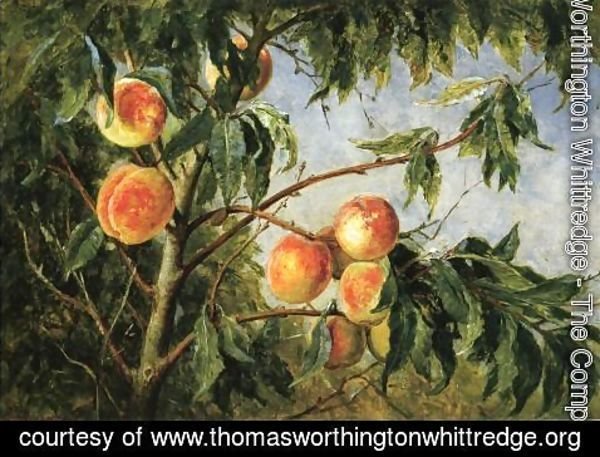 Thomas Worthington Whittredge - Peaches
